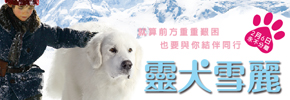 贈票《靈犬雪麗》專屬抽獎活動