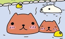 妞活動:《水豚君四格漫畫2》讀者專屬抽獎活動