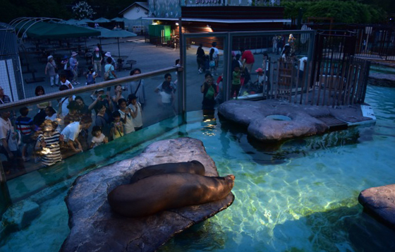 來趟納涼的夜訪之旅吧 5家夜間開放的日本動物園來囉 八木山動物公園 旭山動物園 恩賜上野動物園 多摩動物公園 葛西臨海水族園