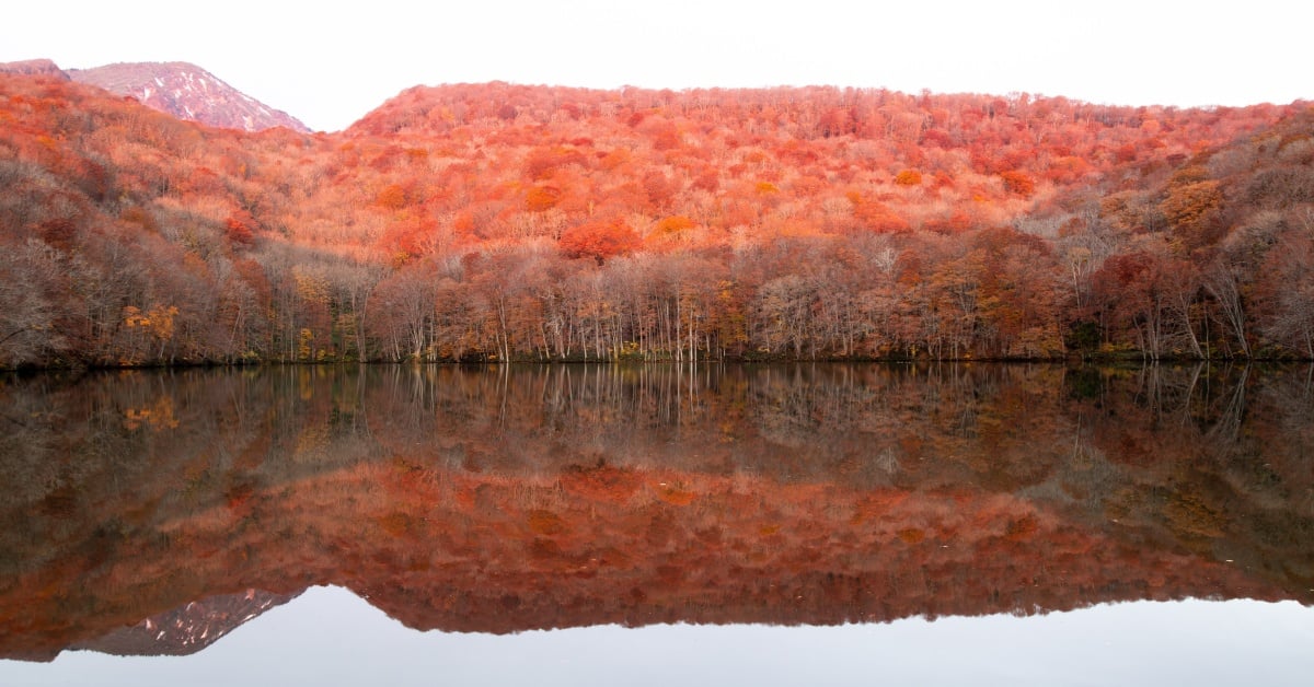 東北青森必看紅葉景點｜蔦沼朝燒賞楓美景最佳拍攝時間、交通攻略| 日本