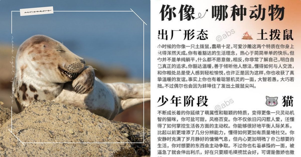 心理測驗 你像哪種動物 瘋傳 1分鐘測出不同階段人生目標 連出廠型態都準的嚇人 寵物圈圈 寵物吃喝玩樂 動物 心理測驗 動物心理測驗