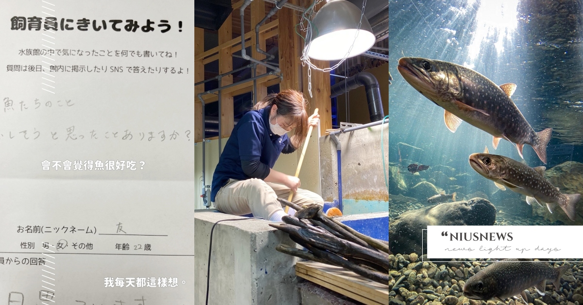 史上最親民水族館 遊客問 會不會覺得魚很好吃 日本水族館員神回覆網笑翻 北國大地水族館 水族館 有問必答 親民 飼育員