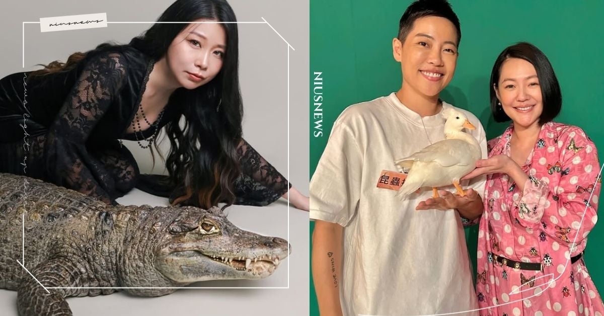 台灣10大超紅「寵物界KOL」盤點,鱷鄰居&沙西米、昆蟲擾西「愛寵」超稀有!台灣10大超紅寵物界KOL、黃阿瑪的後宮生活、柴犬七仙女、好味小姐 許伯&簡芝-倉鼠人、鱷鄰居&沙西米