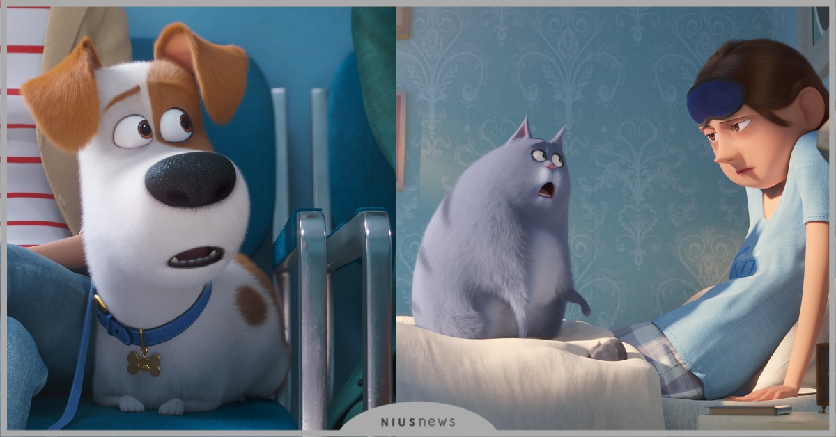 The Secret Life Of Pets 2寵物當家2 品牌新聞 妞新聞niusnews