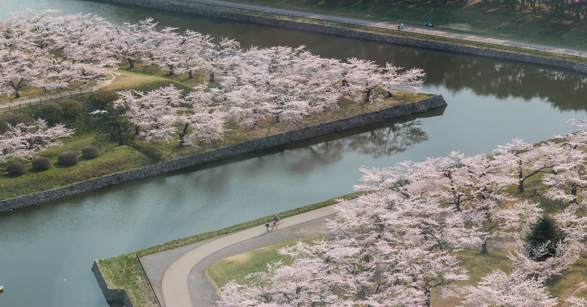 17賞櫻名所 東北 北海道地區追櫻趣 櫻花季 隱藏景點 親子旅遊 蜜月旅遊 當地生活 愛玩妞 妞新聞niusnews